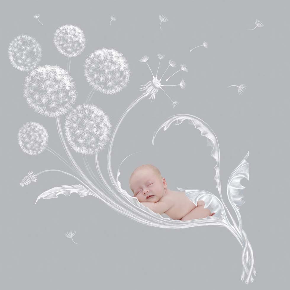 Newborn baby girl, newborn baby photographer