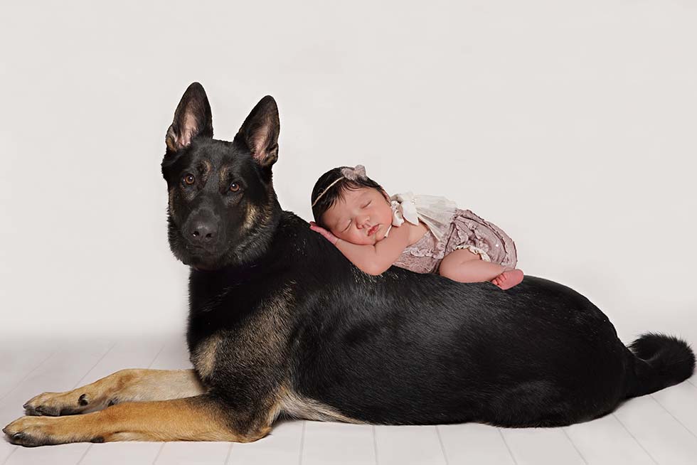 Newborn baby photoshoot, newborn photo shoot, newborn photos, newborn photographer, newborn photo session, newborn with dog, newborn with siblings